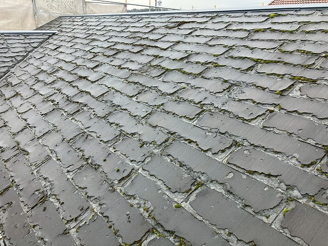 苔の生えたパミール屋根